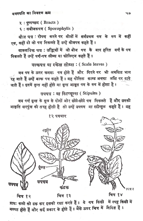 Kriyatmak Aushadhi Parichaya Vigyan